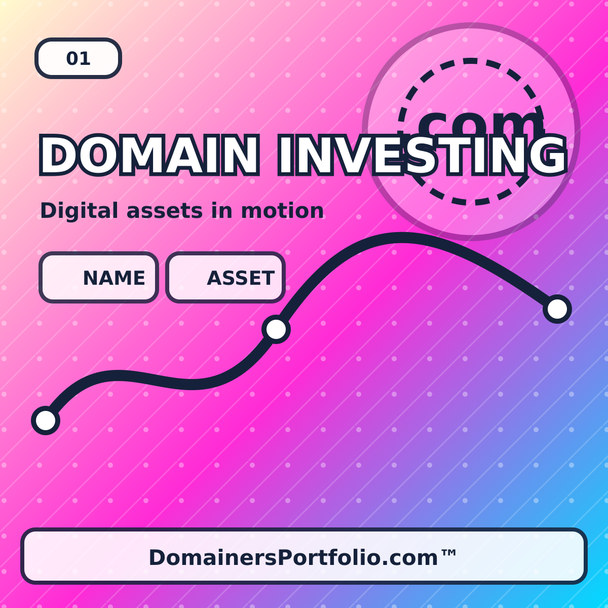 Domain Investing: A Practical Guide to Building a Strong Portfolio editorial illustration